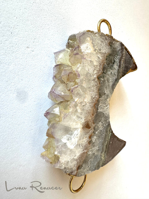 🌙 Luna Renacer – nuevos comienzos.